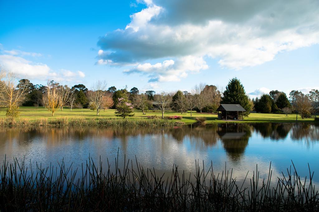 Sanctuary Park Cottages Healesville Exterior foto