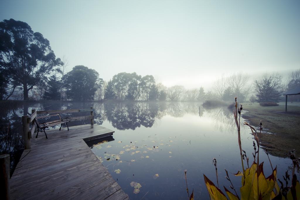 Sanctuary Park Cottages Healesville Exterior foto