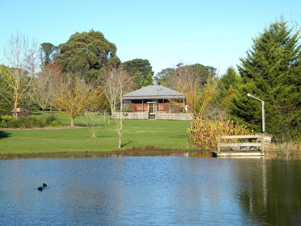 Sanctuary Park Cottages Healesville Zimmer foto