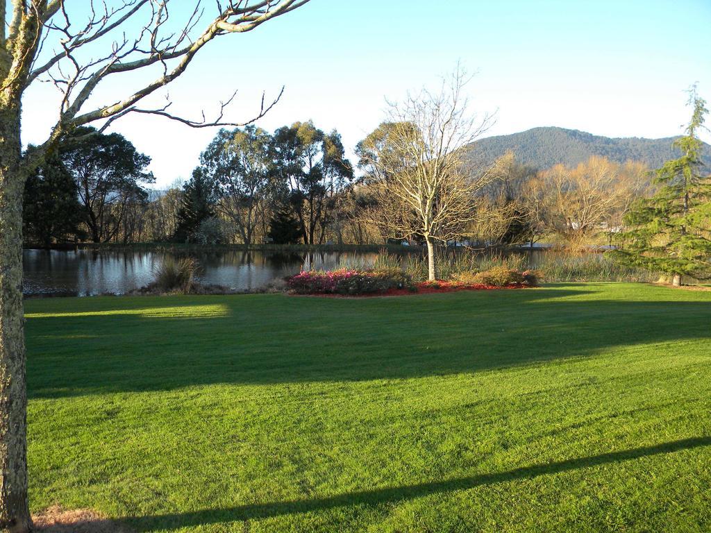 Sanctuary Park Cottages Healesville Exterior foto